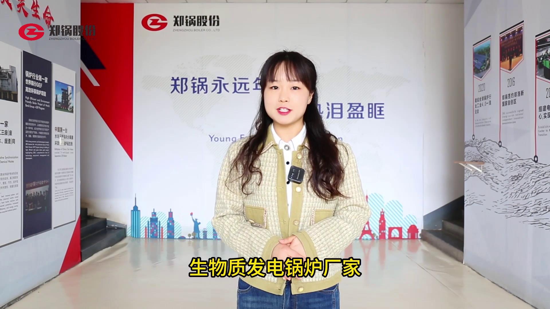 �����ʷ����¯ȼ������