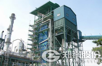 DHX��ѭ����������¯ - ֣��