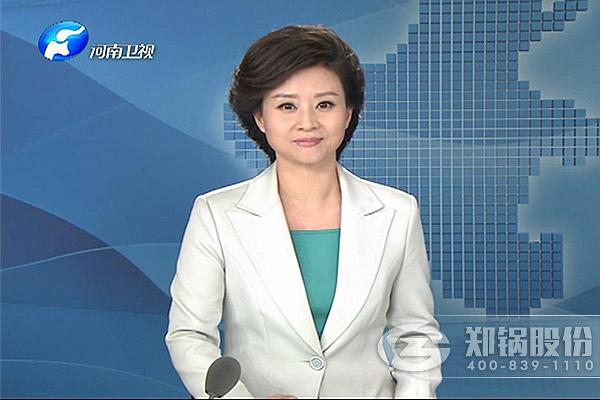 ֣���ɷݵ�������������ʡȨ��ý���ע