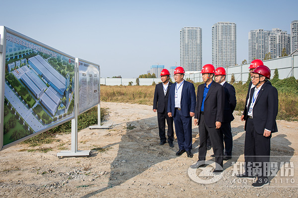 ��˾�߲��쵼һ���Ӳ켯�Ÿ������鿪չ���