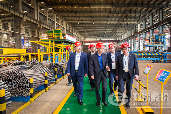 ��˾�߲��쵼һ���Ӳ켯�Ÿ������鿪չ���