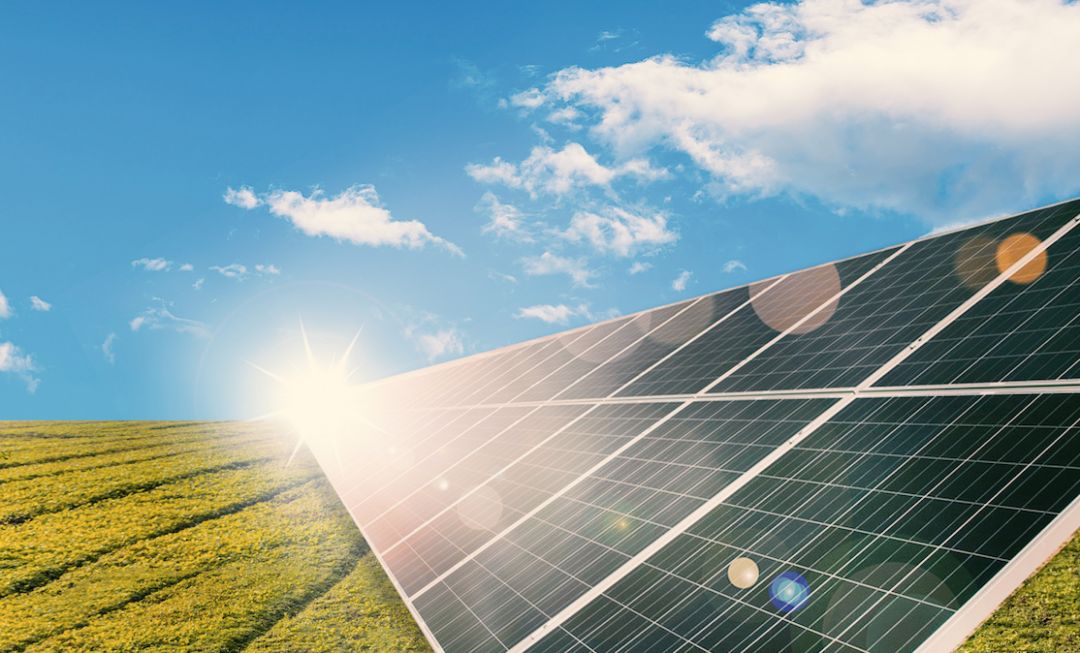 �ɻ� | ����Ҥ�����������Լ�����ƻ�