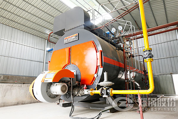 10�ֵ͵���Ȼ����¯�ļҺ�