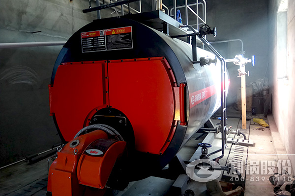 ����˹3����/СʱWNS�͵�ȼ����¯��Ŀ