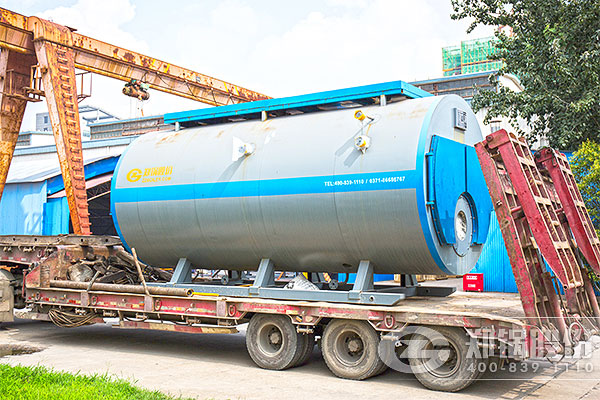 ������6��WNSȼ����¯��Ŀ