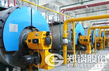 WNS��ȼ��ȼ����¯ - ֣��