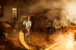 �Ƴ���¯��������