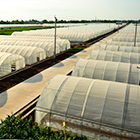 ���λᡤJ9-�ٷ���վ|������Ϸ��һƷ��