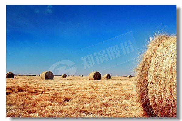 ��¯ά�޺͹�¯ά��ŵ����