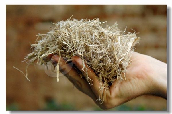 10kgѹ������������¯��Ʒ