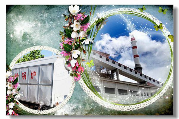 wnsϵÁÐ¸ßÆ·ÖÊÈ¼Æø¹øÂ¯