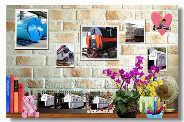 SZLϵ��������ȼú������¯