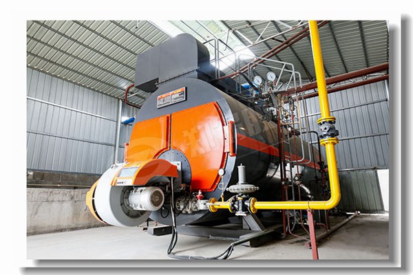 WNSϵÁÐÈ¼ÆøÕôÆû¹øÂ¯¼Û¸ñ