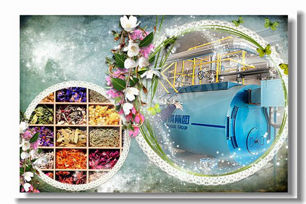 2��������ʽȼ��������¯