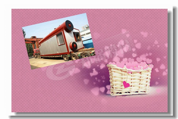 2tÈÝÁ¿È¼ÆøÕôÆû¹øÂ¯