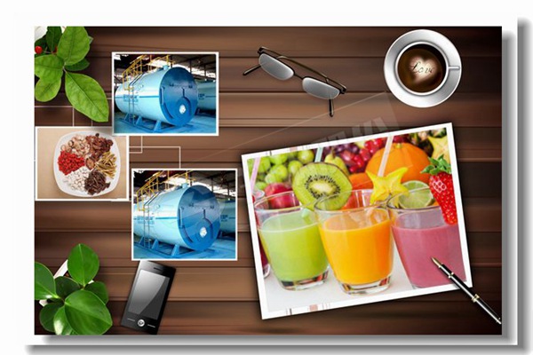 Æ·ÅÆwnsÐÍÈ¼ÆøÕôÆû¹øÂ¯¹¤Òµ