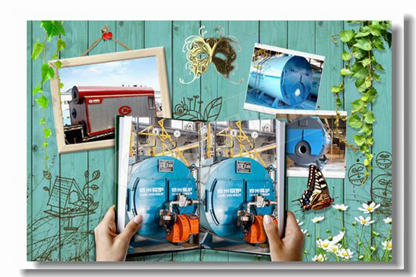 ˫ȼ��������¯��ѹ��16kg