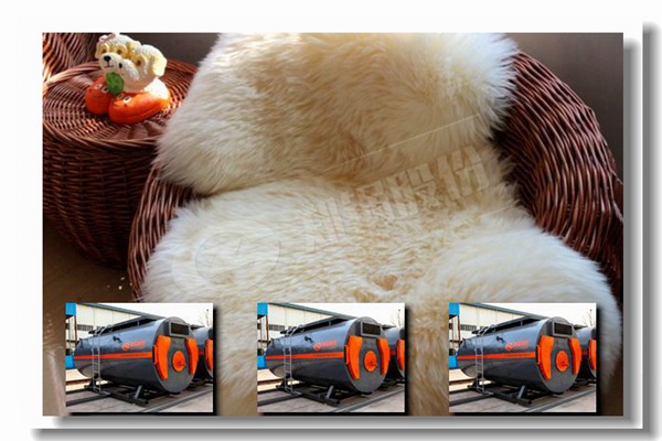 WNSϵÁÐȼÓÍ»òÈ¼ÆøÕôÆû¹øÂ¯