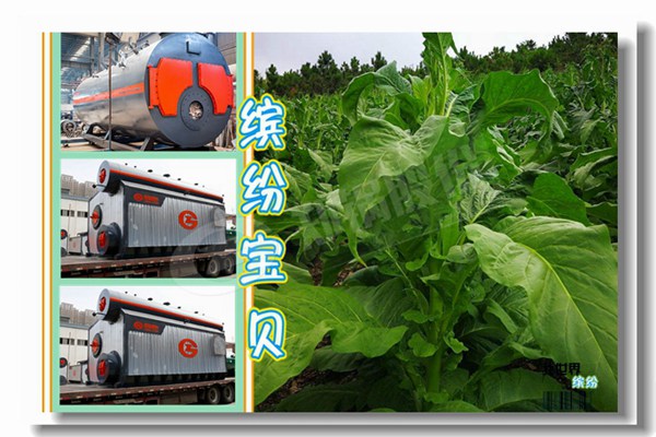 ȼ����ˮ��¯�����MWʲô��˼