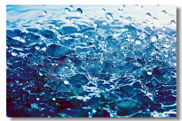 ���������ʹ�¯����Ǯ��